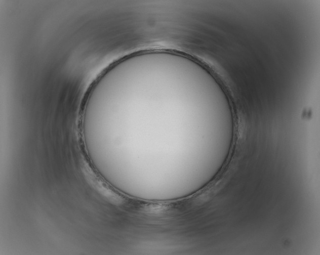 X0000111611278200907311130