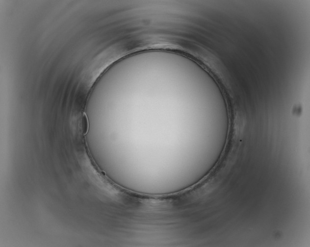 X0000111611281200907311130