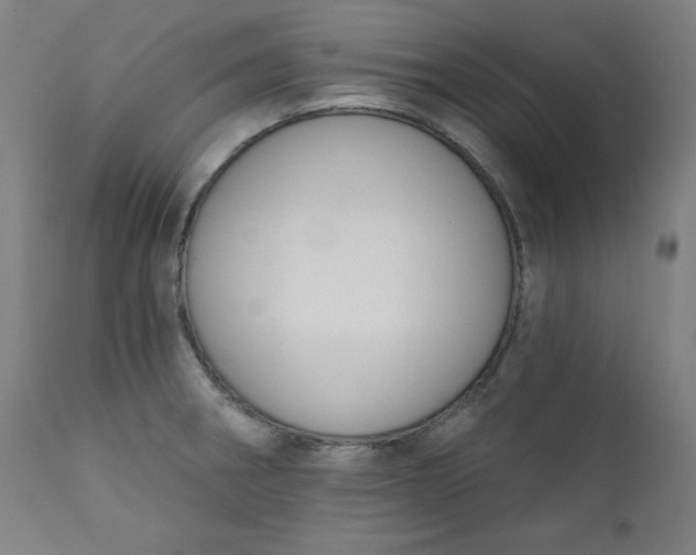 X0000111611282200907311130