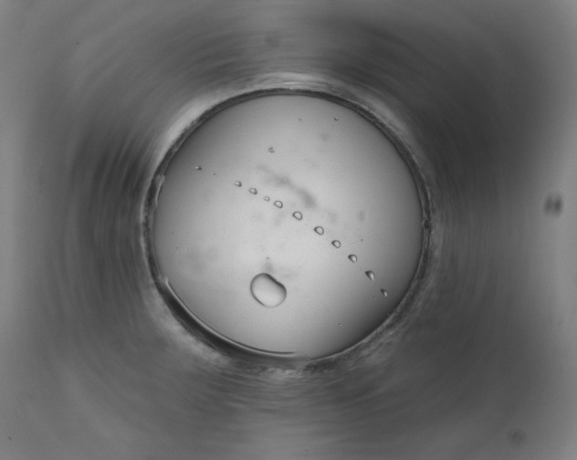 X0000111611283200907311130