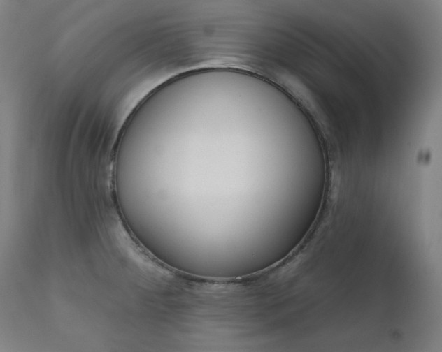 X0000111611284200907311130