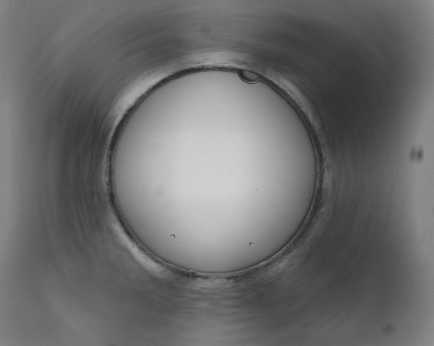 X0000111611285200907311130