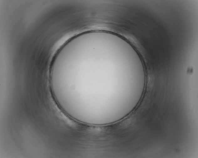 X0000111611286200907311130