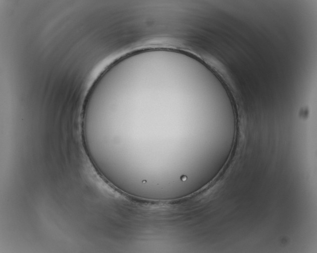 X0000111611288200907311130