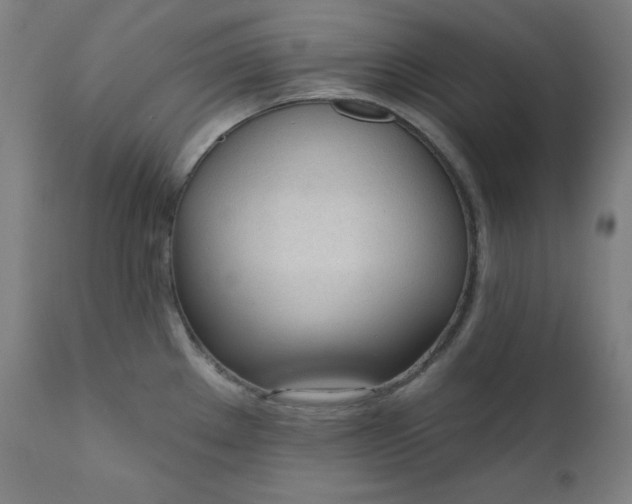 X0000111611289200907311130