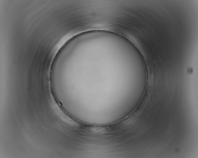 X0000111611291200907311130
