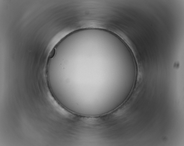 X0000111611293200907311130