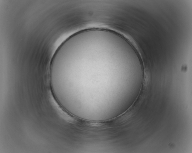 X0000111611295200907311130