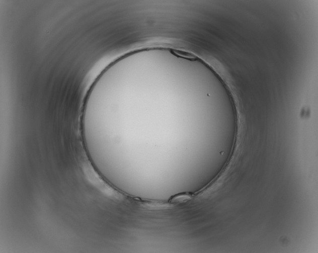 X0000111611296200907311130