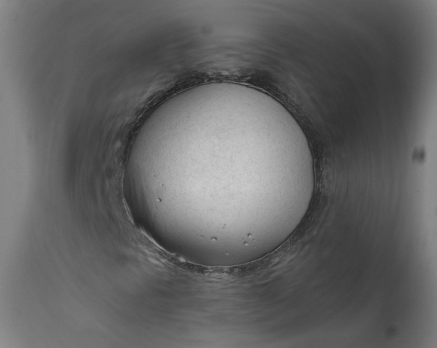 X0000111611297200907311129