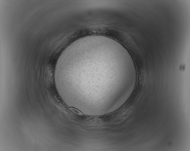 X0000111611298200907311129