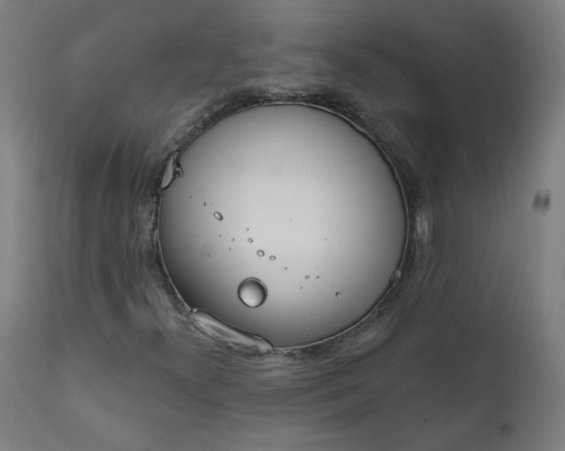 X0000111611300200907311129