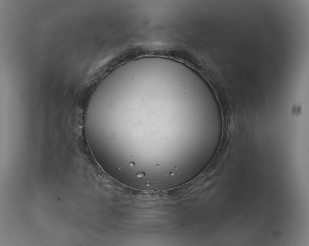 X0000111611301200907311129