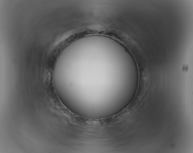 X0000111611302200907311129