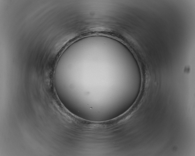 X0000111611305200907311129