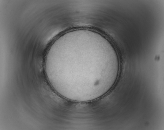 X0000111611306200907311129
