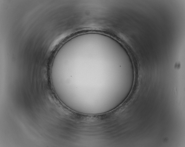 X0000111611307200907311129