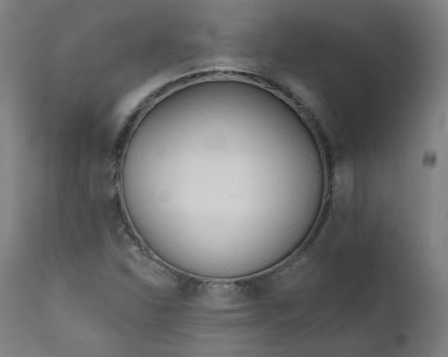 X0000111611310200907311129