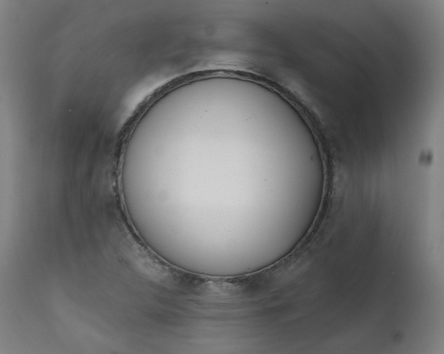 X0000111611312200907311129