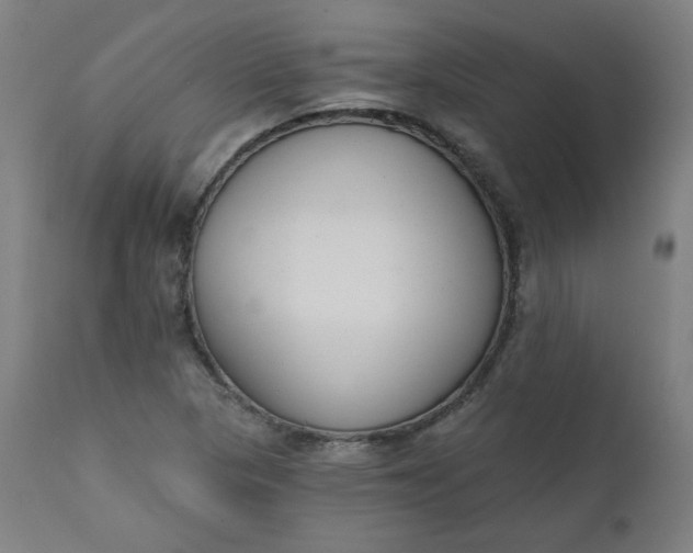 X0000111611313200907311129
