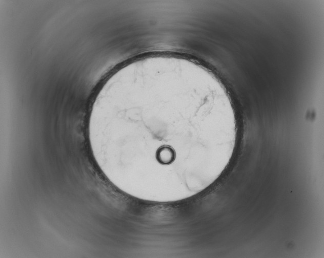 X0000111611314200907311130