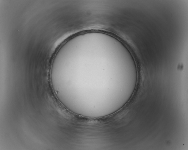 X0000111611316200907311130
