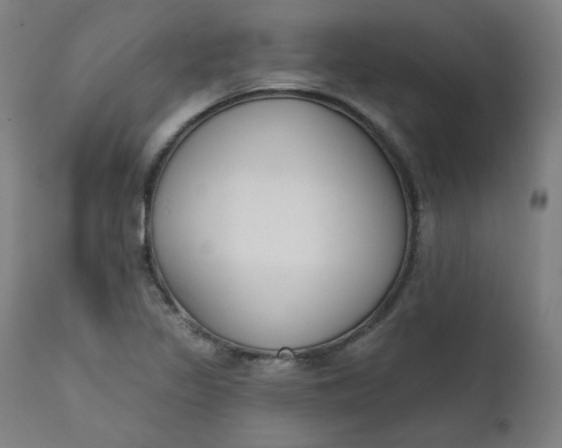 X0000111611317200907311130