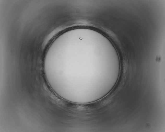 X0000111611318200907311130