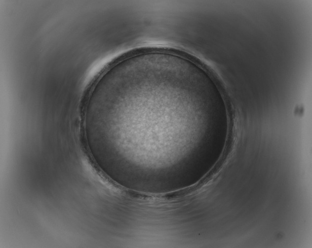 X0000111611319200907311130