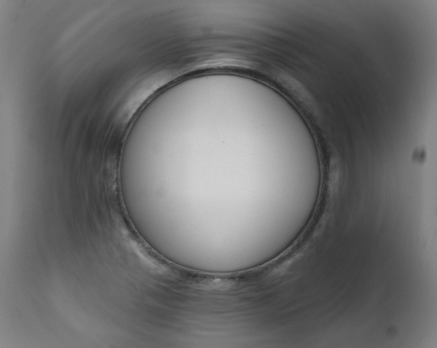 X0000111611321200907311130