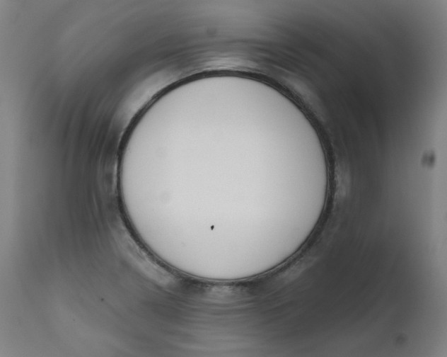 X0000111611322200907311130
