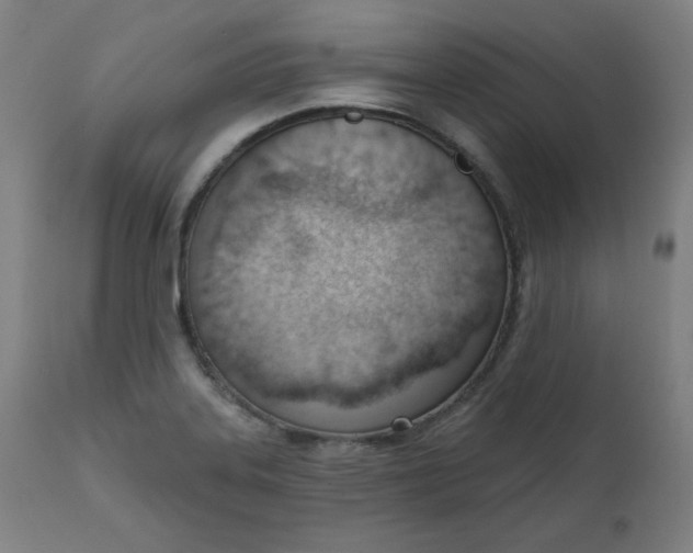X0000111611323200907311130