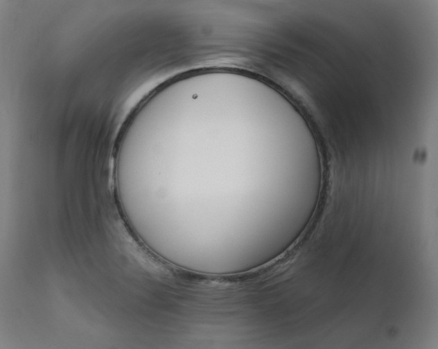 X0000111611324200907311130
