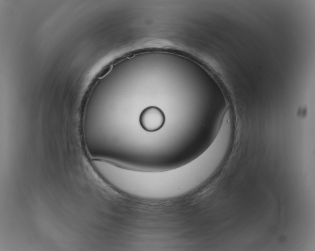 X0000111611326200907311130