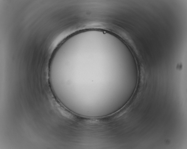 X0000111611328200907311130