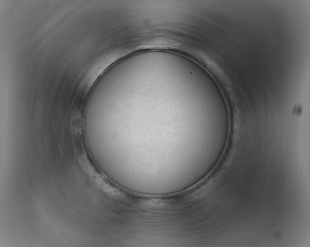 X0000111611329200907311130