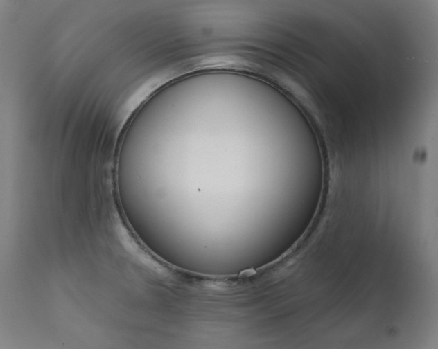X0000111611330200907311130