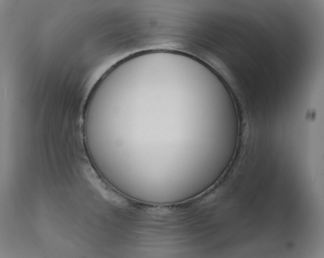 X0000111611332200907311130