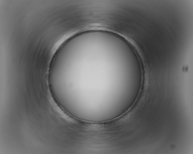 X0000111611333200907311130