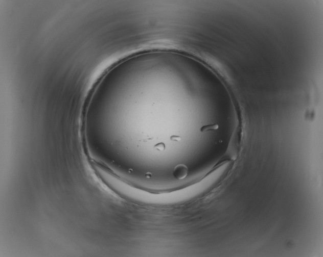 X0000111611334200907311130