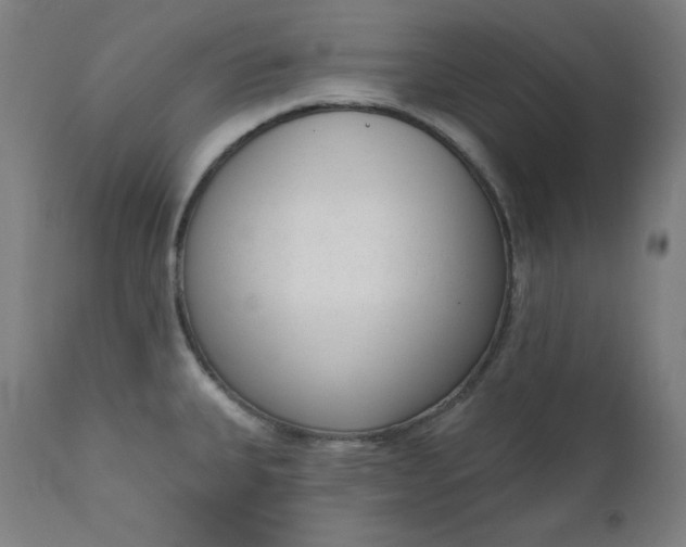 X0000111611335200907311130