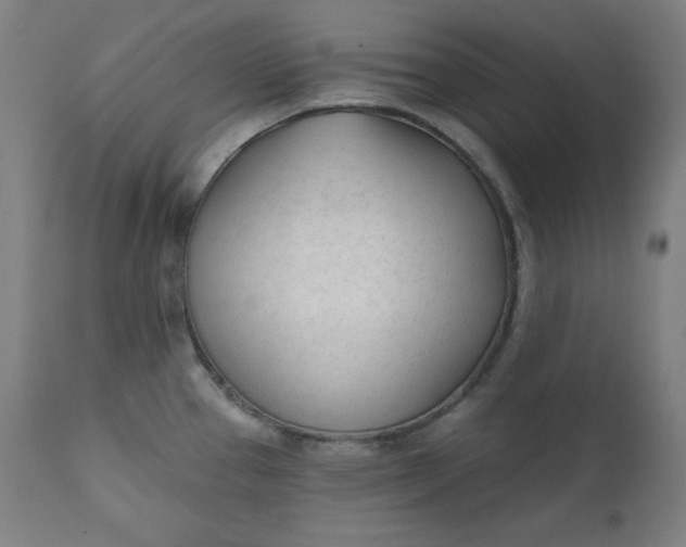 X0000111611337200907311130