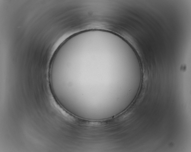 X0000111611339200907311130