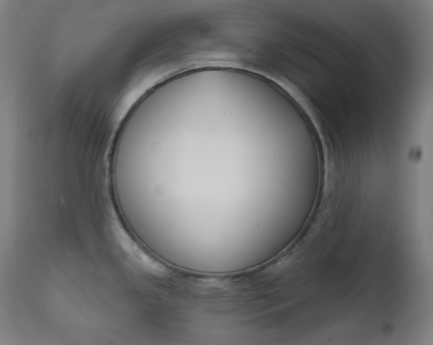 X0000111611341200907311130