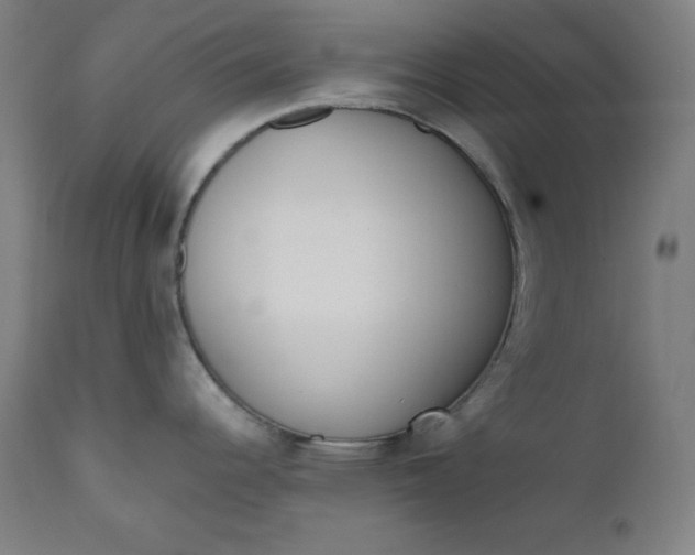 X0000111611344200907311130
