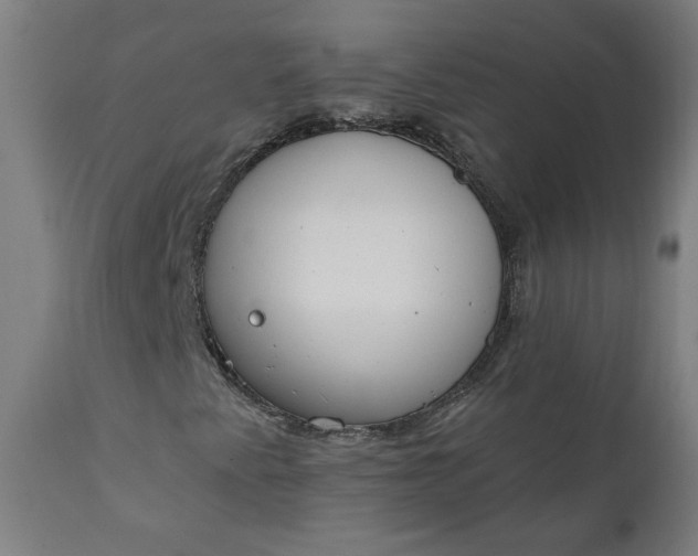 X0000111611345200907311129