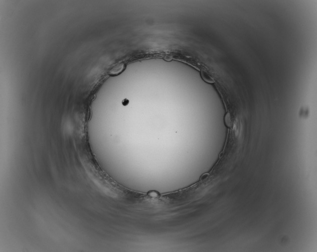 X0000111611348200907311129