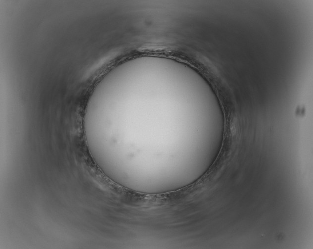 X0000111611350200907311129