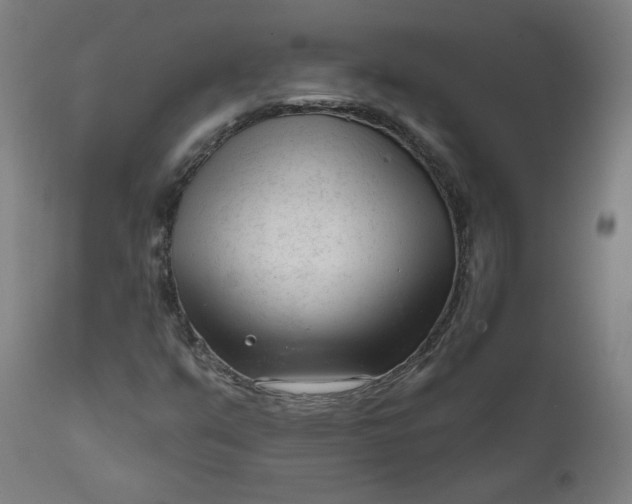 X0000111611351200907311129