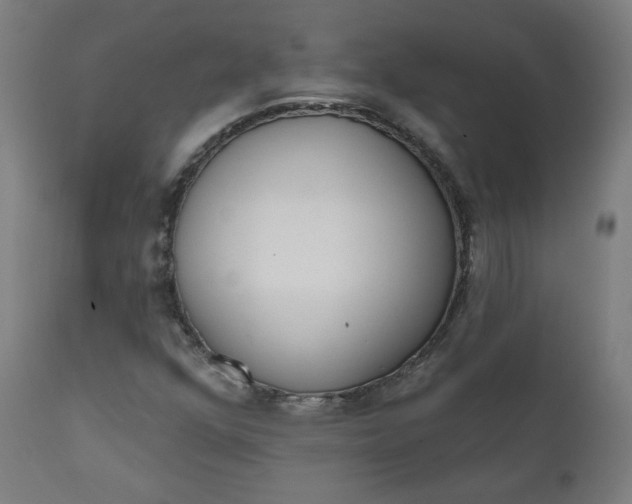 X0000111611352200907311129